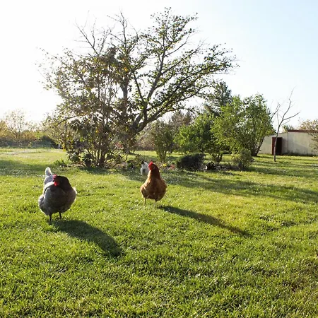 Paisible En Bord De Seine Avec Wifi Et Terrasse - Fr-1-527-54 * Moisson